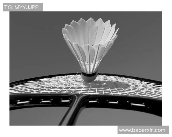 羽毛球女单比赛技术动作细节全面剖析与实战应用探讨 羽毛球女单比赛技术动作细节全面剖析与实战应用探讨