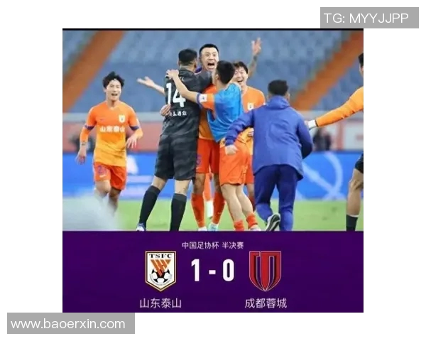 VAR因误判被罚款停赛 官方公布处罚决定引发热议