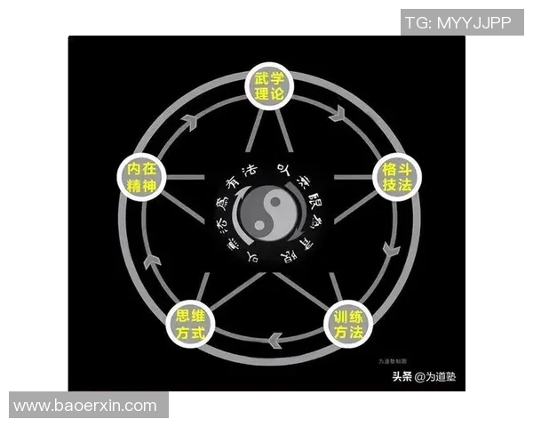 世界顶级拳击手战术节奏控制与步伐调整的相互关系与影响分析 世界顶级拳击手战术节奏控制与步伐调整的相互关系与影响分析